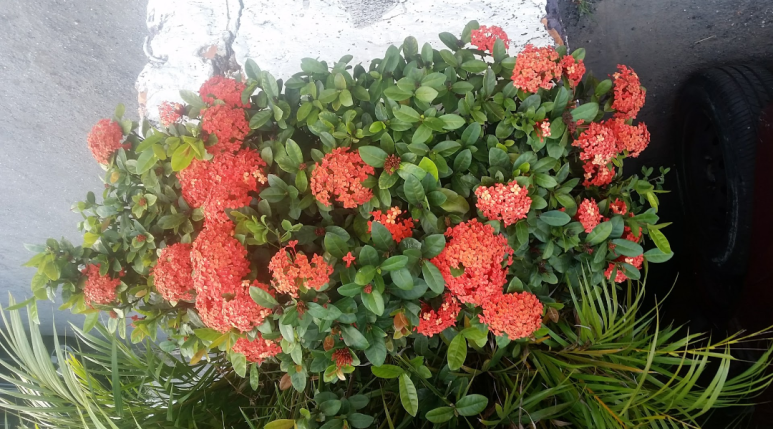 Screenshot_20180405-110944