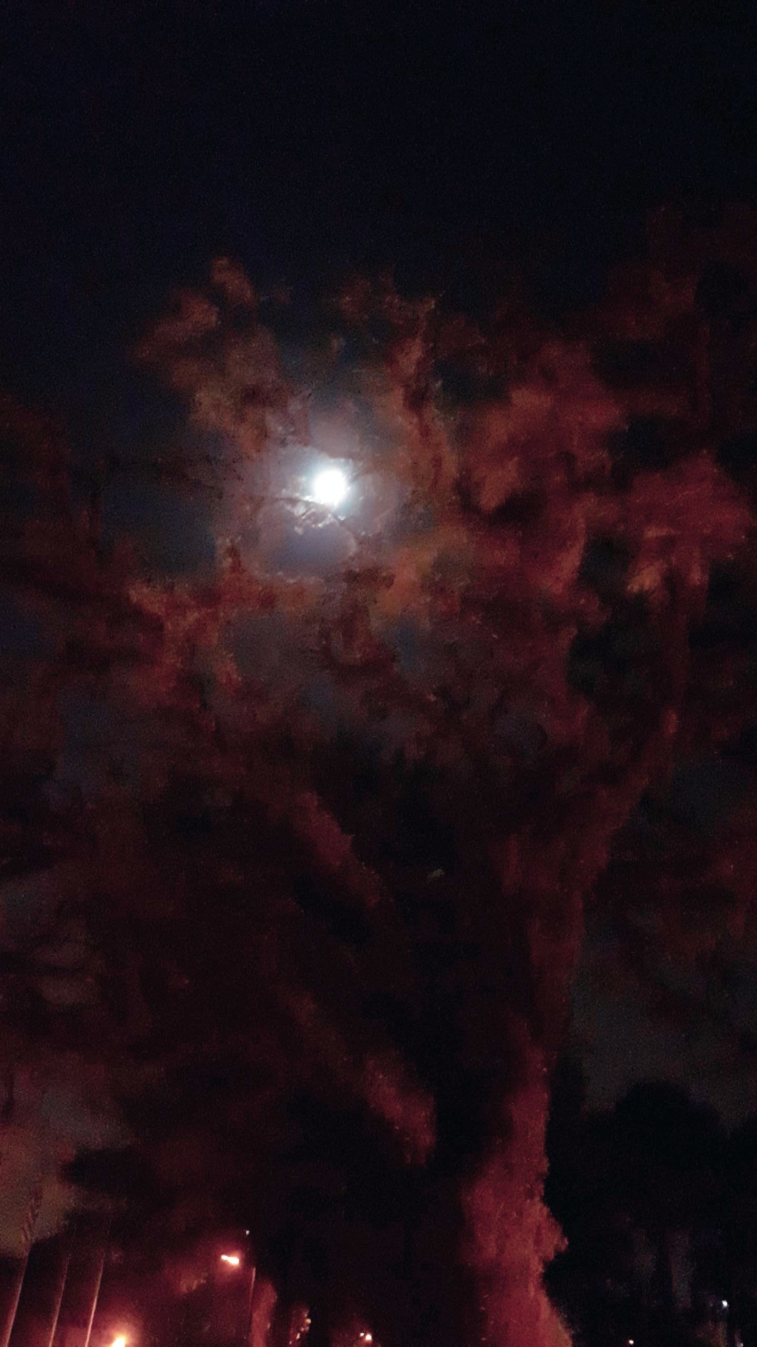 IMG_20180730_205140_397