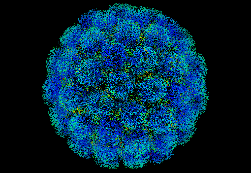 Symian_virus