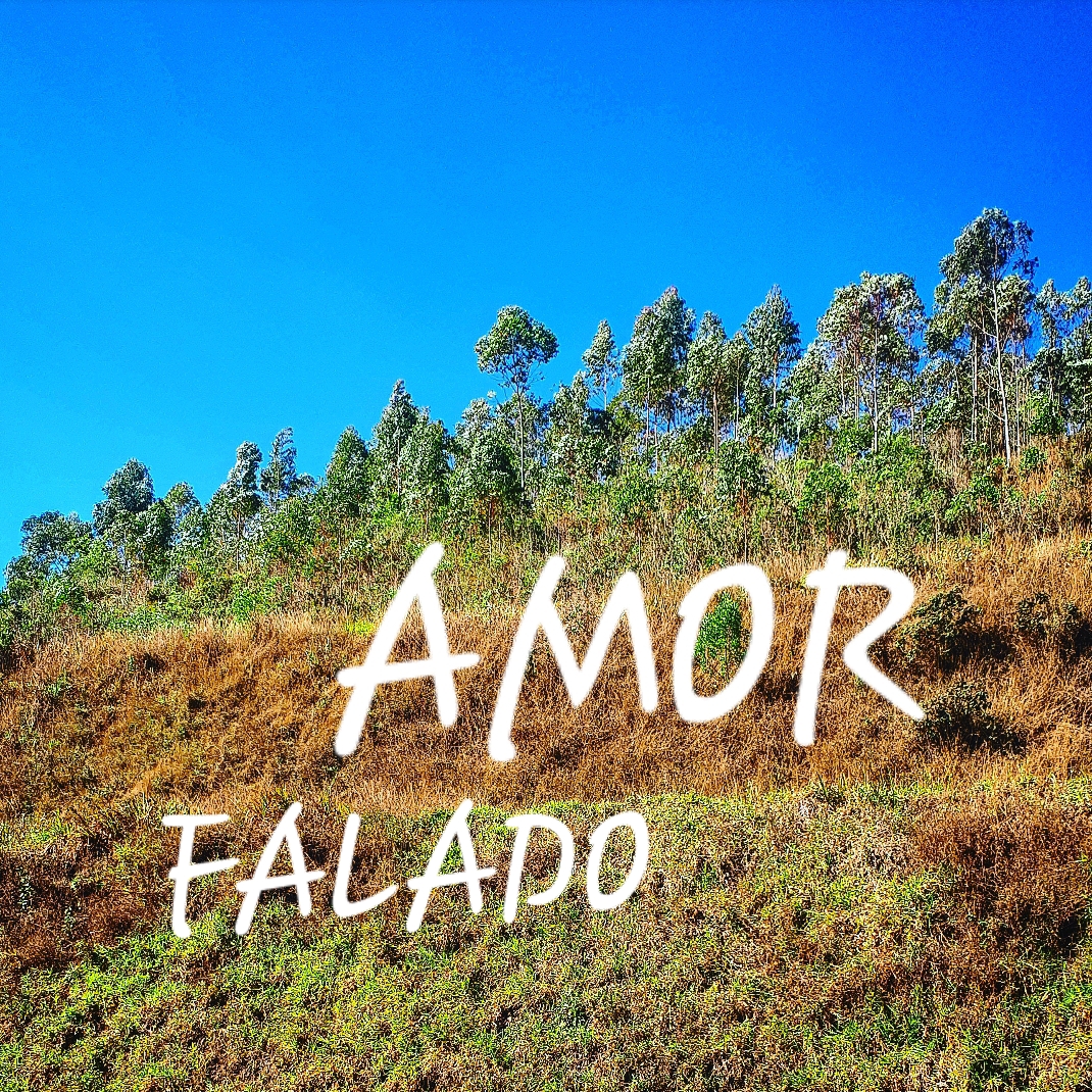 Amor Falado
