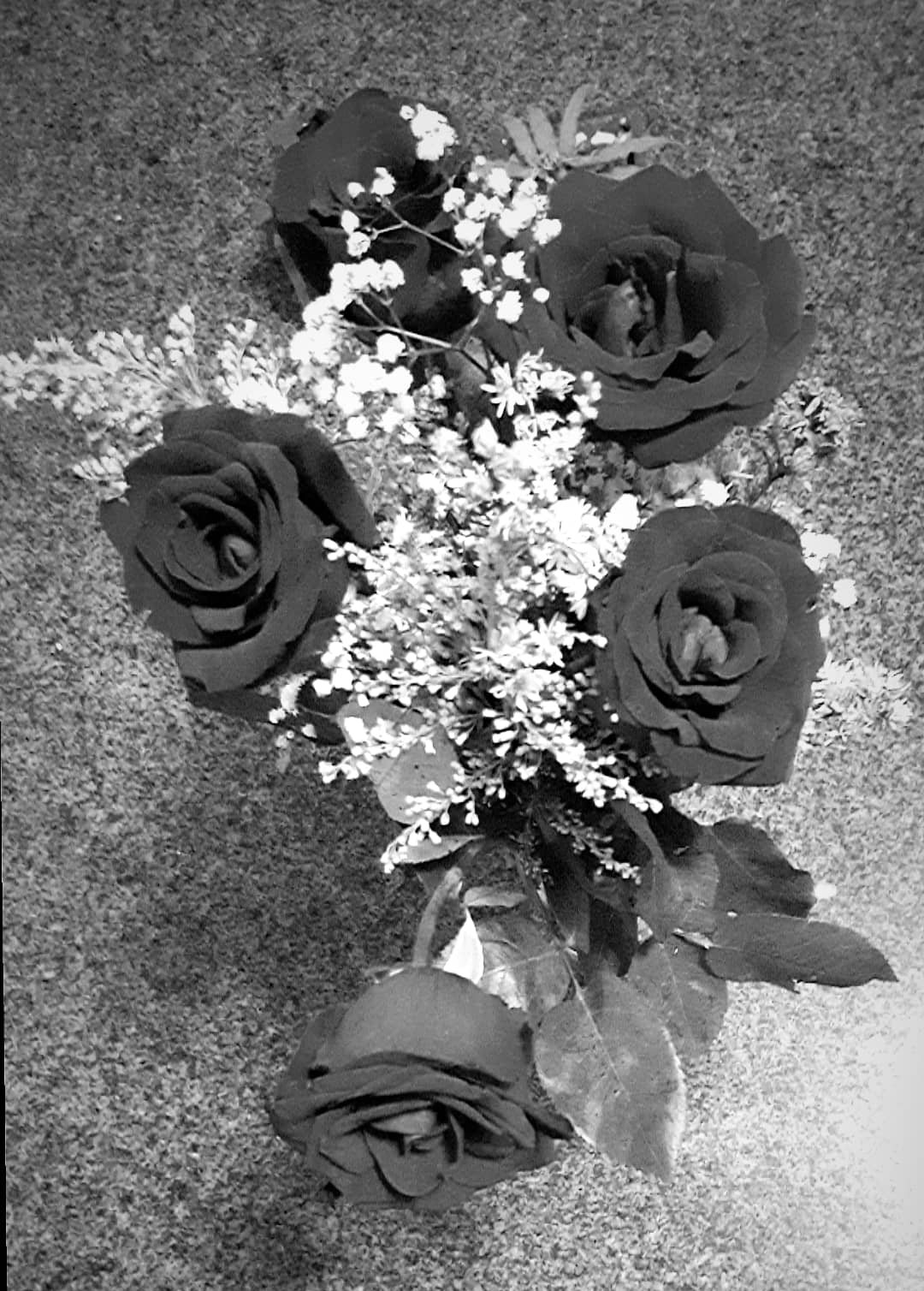 6 On 6 - P&B (Escuridão)